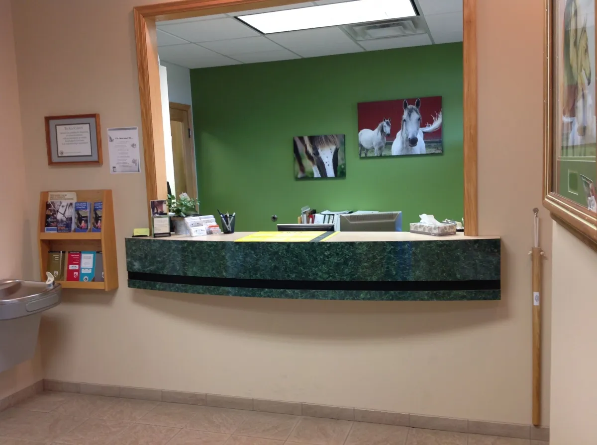 Equine reception desk