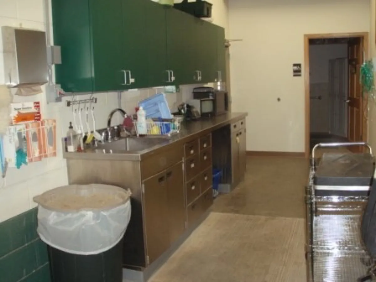 Equine treatment room