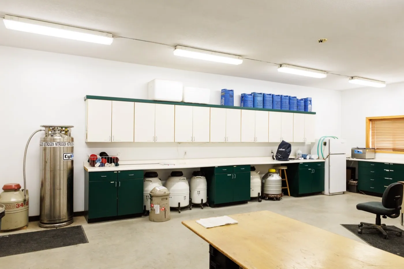 Equine reproduction lab at Cleary Lake