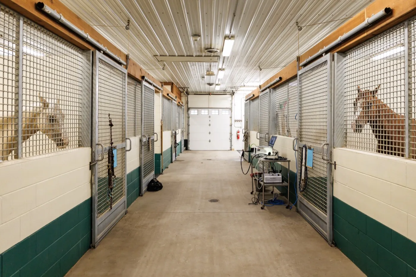 Equine hospital stalls and barn aisle