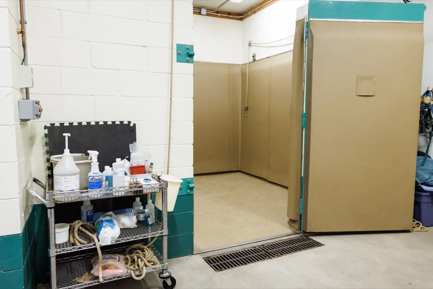 Equine surgical prep area