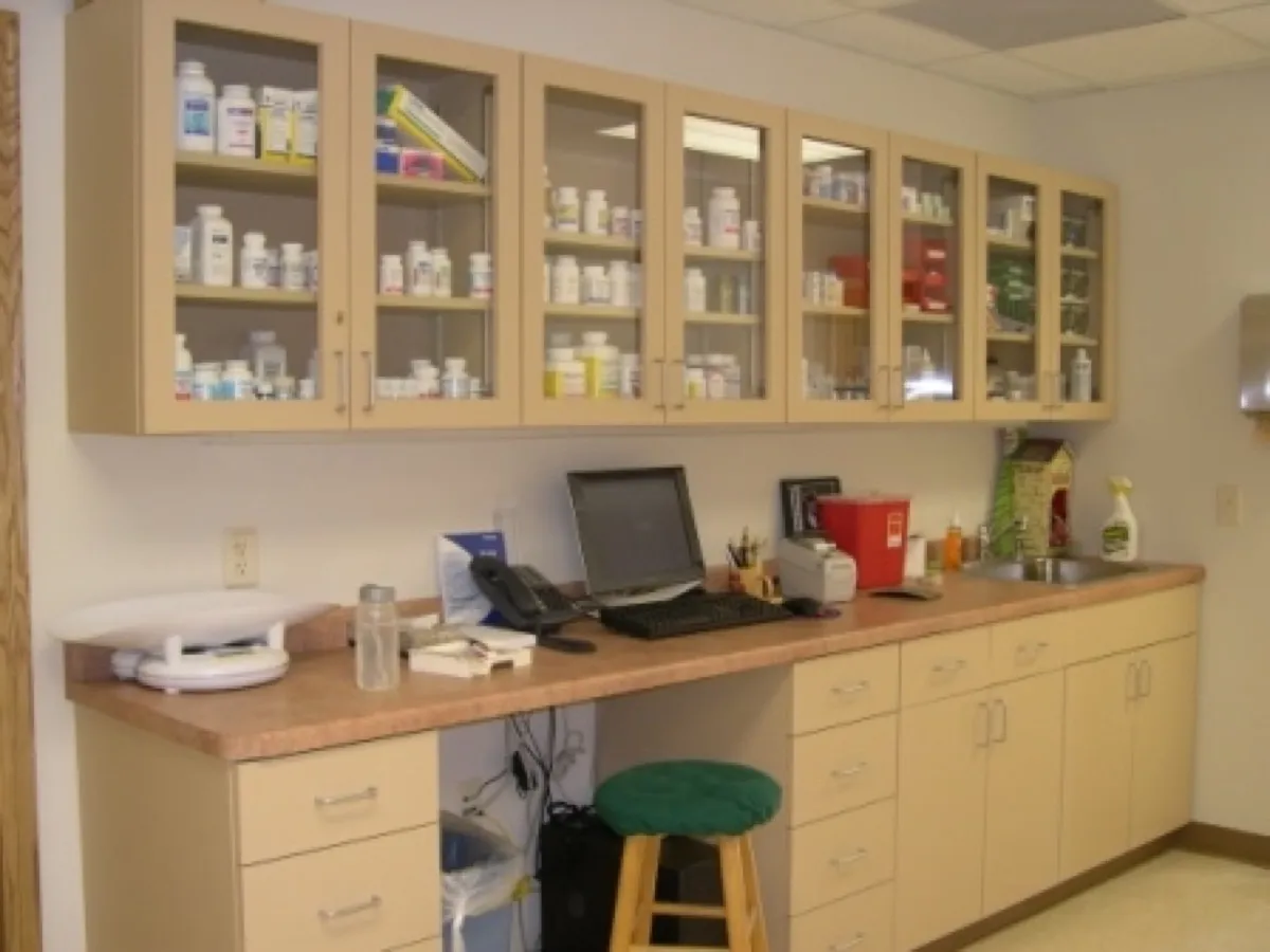 Pharmacy cabinets and workstation in the small animal treatment area