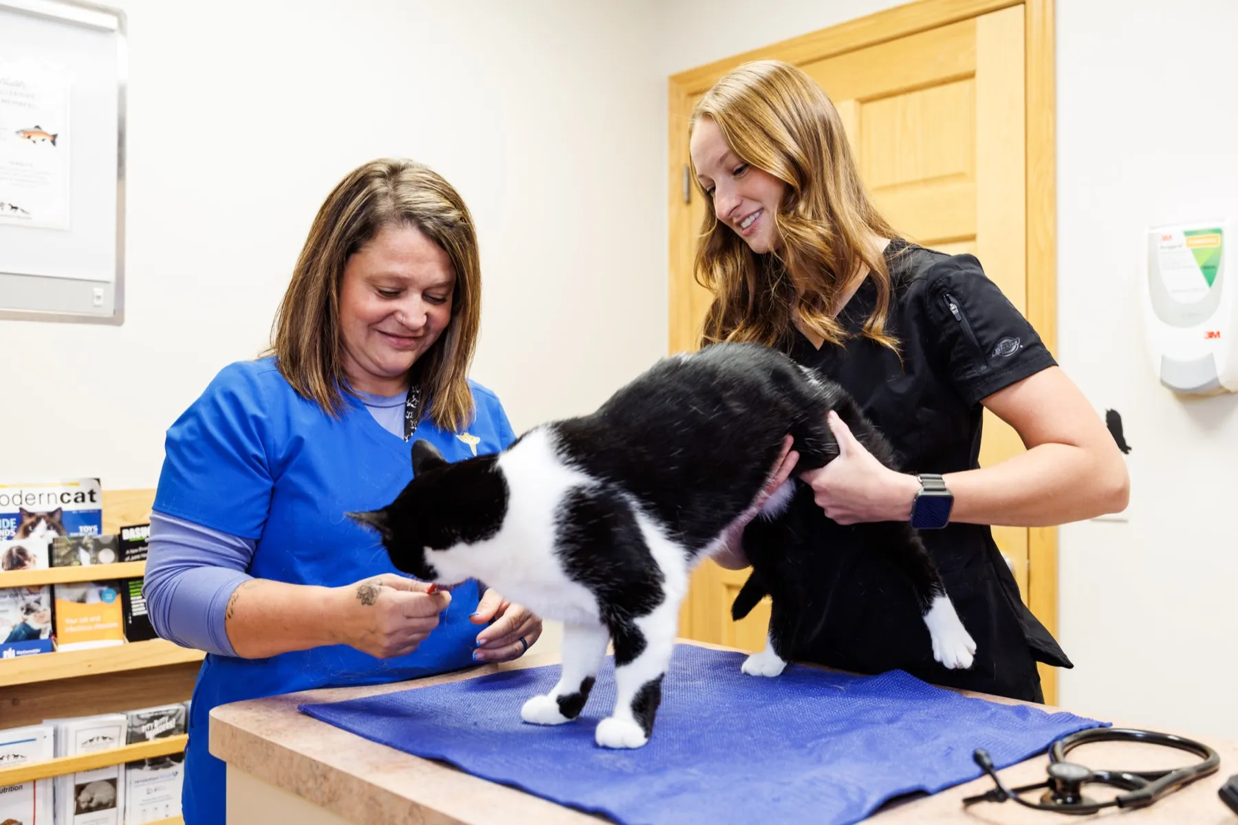 Two team members examining a black and white cat on an exam table