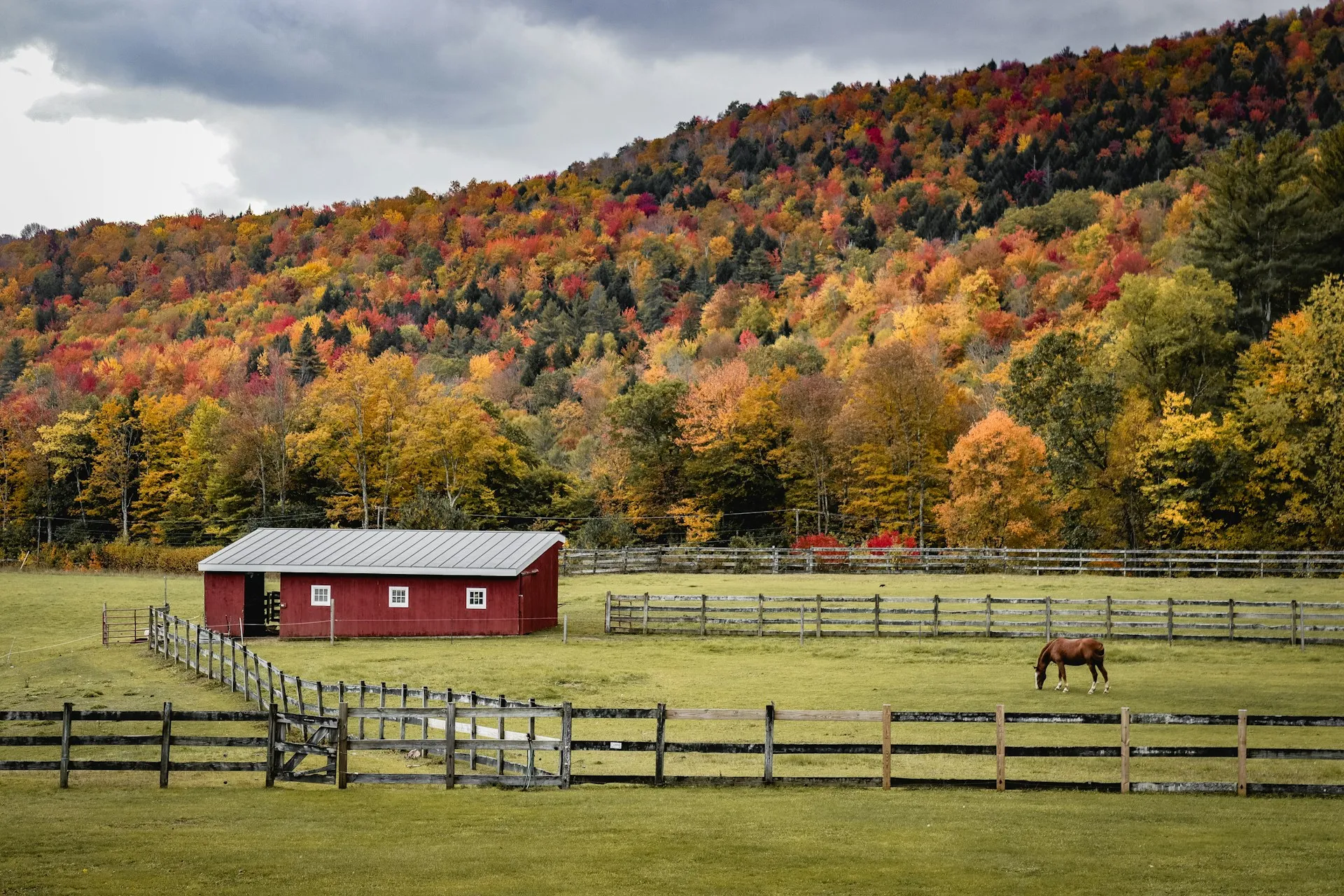 Horses in a fenced pasture beside a red barn