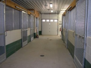Stable stalls 