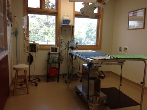 Small Animal Surgery Suite